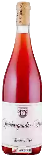 Weingut Enderle & Moll - Spätburgunder Rosé