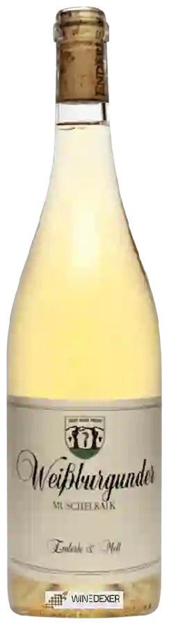 Weingut Enderle & Moll - Weißburgunder Muschelkalk Weingut Enderle & Moll - Weißburgunder Muschelkalk
