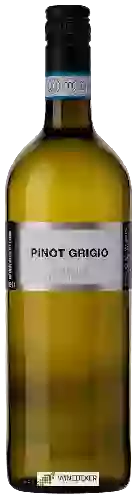 Weingut Endrizzi - Pinot Grigio delle Venezie