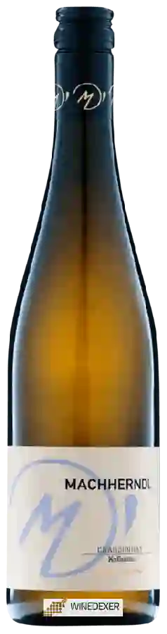Weingut Machherndl - Chardonnay Kollmütz Weingut Machherndl - Chardonnay Kollmütz