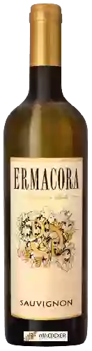 Weingut Ermacora - Sauvignon