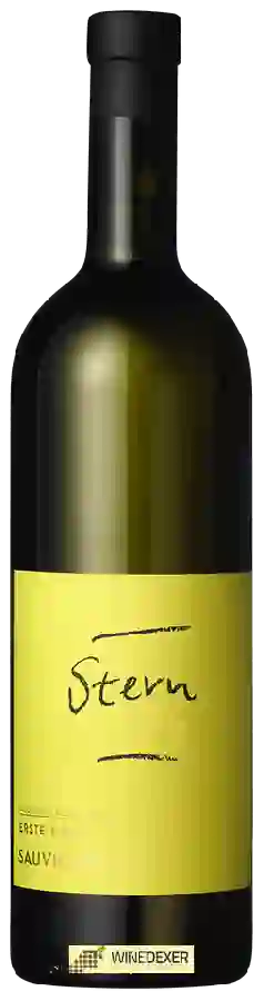 Weingut Erste+Neue - Stern Sauvignon