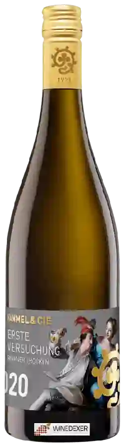 Weingut Erste Versuchung - Rivaner Trocken Weingut Erste Versuchung - Rivaner Trocken