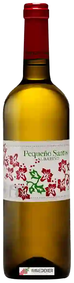 Weingut Benito Santos - Pequeño Santos Albarino Weingut Benito Santos - Pequeño Santos Albarino