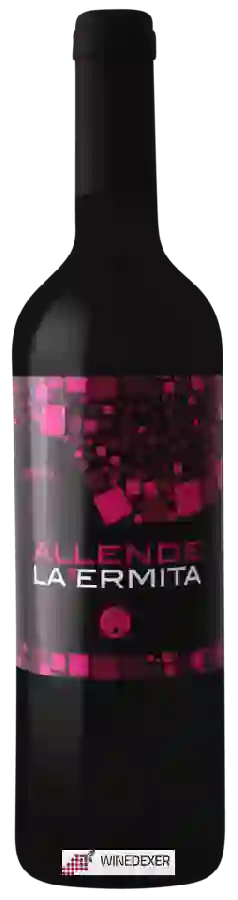 Bodegas Viña Buena - Allende La Ermita Crianza