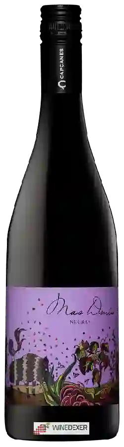 Weingut Capçanes - Mas Donis Negre Weingut Capçanes - Mas Donis Negre