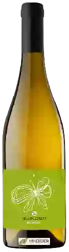 Weingut Celler Credo - Volaina