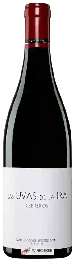 Weingut Jiménez-Landi - Las Uvas de la Ira Cebreros