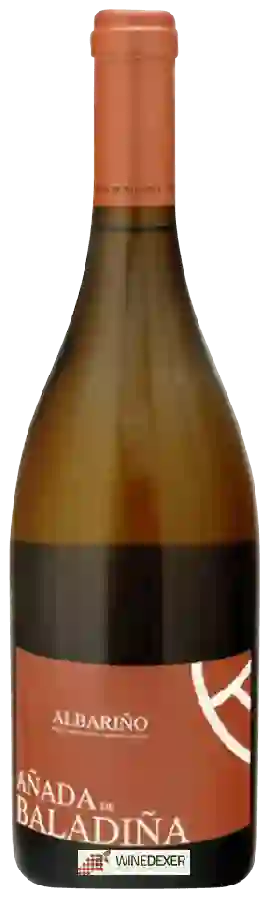 Weingut Lagar de Besada - Añada de Baladiña Albariño Weingut Lagar de Besada - Añada de Baladiña Albariño