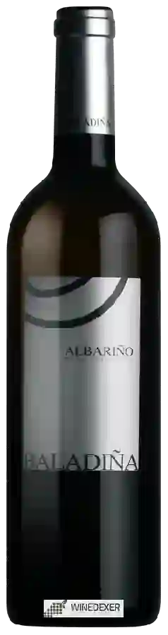 Weingut Lagar de Besada - Baladiña Albariño