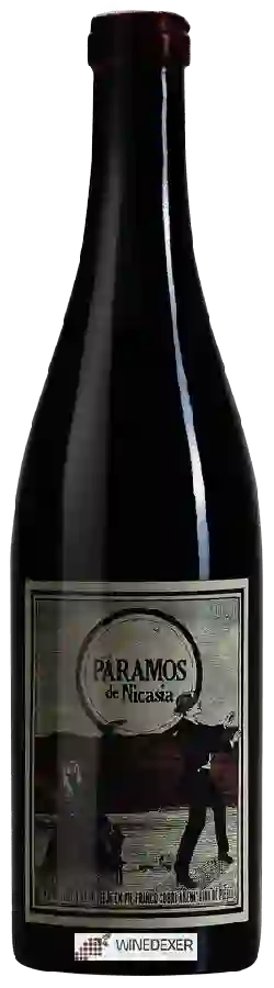 Weingut Màquina y Tabla - Páramos de Nicasia Weingut Màquina y Tabla - Páramos de Nicasia