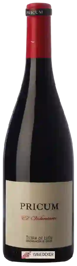 Bodegas Margon - Pricum - El Voluntario