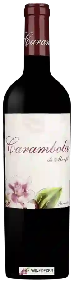 Weingut Monfil - Carambola de Monfil Garnacha