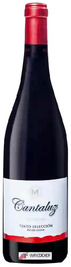 Weingut Monóvar - Cantaluz Tinto Selección