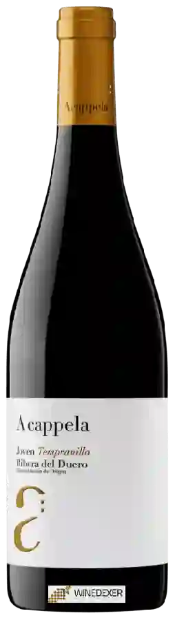 Weingut Monteabellon - A Cappela Joven