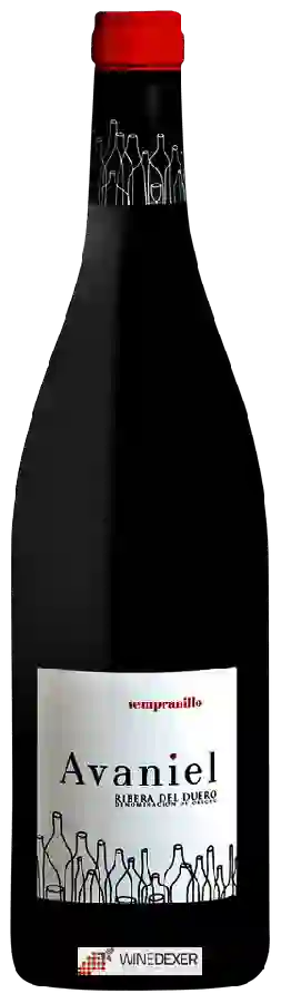 Weingut Monteabellon - Avaniel Weingut Monteabellon - Avaniel