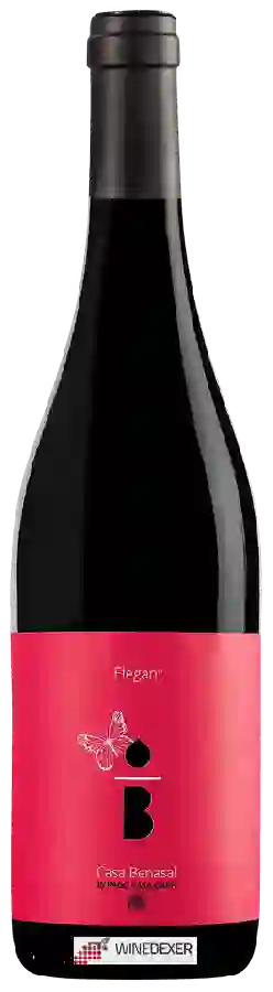 Weingut Pago Casa Gran - Casa Benasal Elegant Weingut Pago Casa Gran - Casa Benasal Elegant