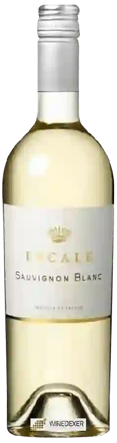 Weingut Escale - Sauvignon Blanc Weingut Escale - Sauvignon Blanc
