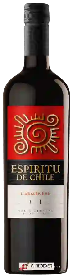 Weingut Espíritu de Chile - Carménère
