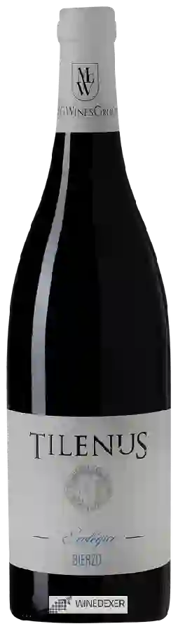 Weingut Estefanía - Tilenus Ecológico Bierzo Weingut Estefanía - Tilenus Ecológico Bierzo