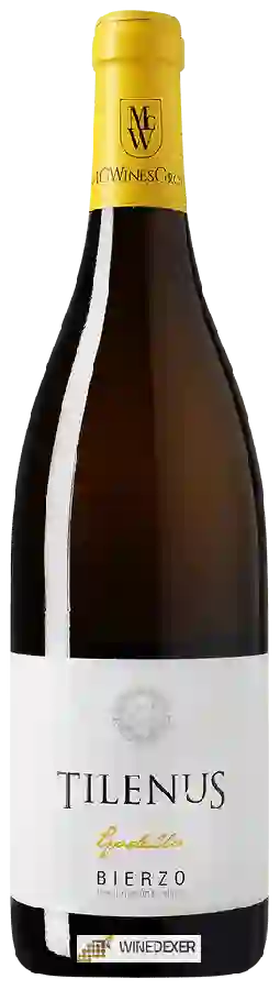 Weingut Estefanía - Tilenus Godello Bierzo