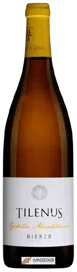 Weingut Estefanía - Tilenus Godello Monteseiros Weingut Estefanía - Tilenus Godello Monteseiros