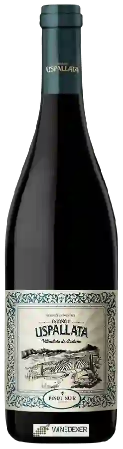 Weingut Estancia Uspallata - Uspallata Pinot Noir