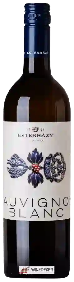 Weingut Esterházy - Estoras Sauvignon Blanc Weingut Esterházy - Estoras Sauvignon Blanc