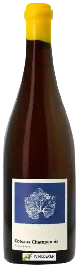 Weingut Etienne Calsac - Coteaux Champenois Weingut Etienne Calsac - Coteaux Champenois