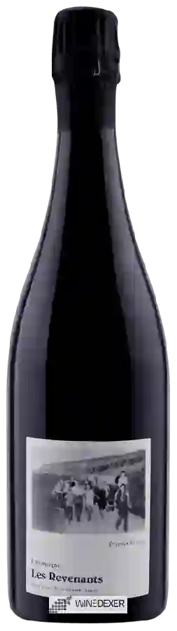 Weingut Etienne Calsac - Les Revenants Champagne Weingut Etienne Calsac - Les Revenants Champagne