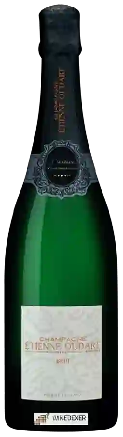 Weingut Etienne Oudart - Brut Champagne