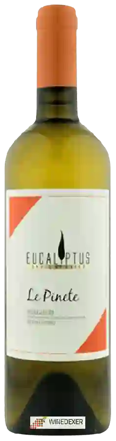 Weingut Eucaliptus - Vermentino Le Pinete Bolgheri Weingut Eucaliptus - Vermentino Le Pinete Bolgheri