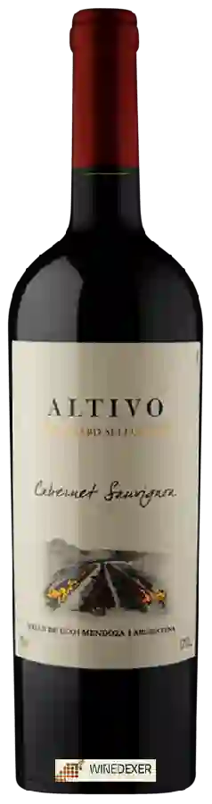 Weingut Finca Eugenio Bustos - Altivo Vineyard Selection Cabernet Sauvignon Weingut Finca Eugenio Bustos - Altivo Vineyard Selection Cabernet Sauvignon