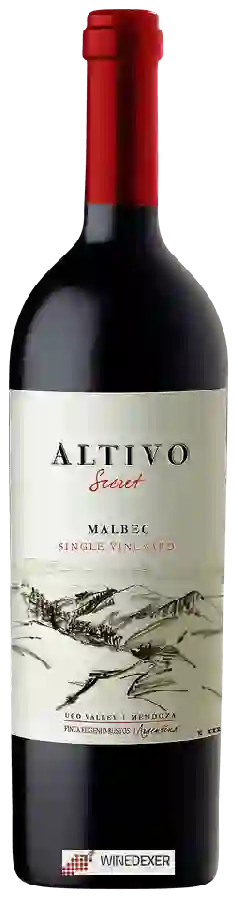 Weingut Finca Eugenio Bustos - Altivo Secret Single Vineyard Malbec