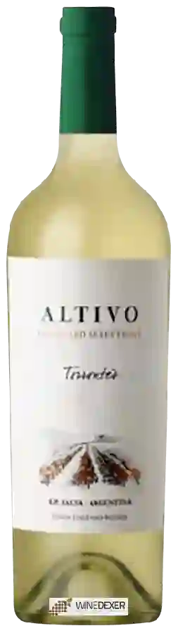 Weingut Finca Eugenio Bustos - Altivo Vineyard Selection Torrontés Weingut Finca Eugenio Bustos - Altivo Vineyard Selection Torrontés