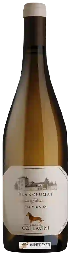 Weingut Collavini - Blancfumat Sauvignon (Collezione Privata i Poderi)