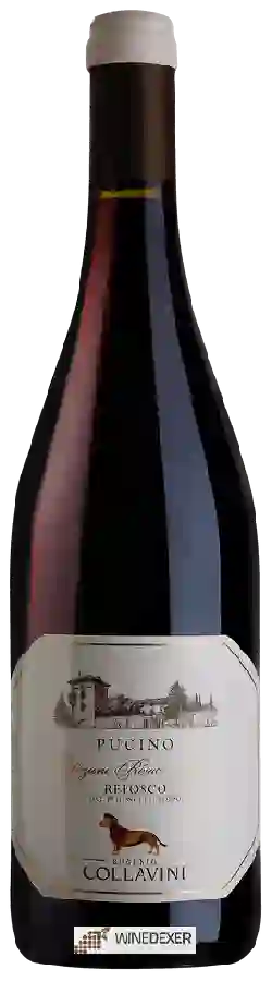 Weingut Collavini - Pucino Refosco dal Peduncolo Rosso (Collezione Privata i Poderi)