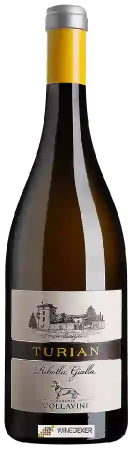 Weingut Collavini - Turian Ribolla Gialla Weingut Collavini - Turian Ribolla Gialla