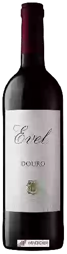 Weingut Evel - Douro Tinto