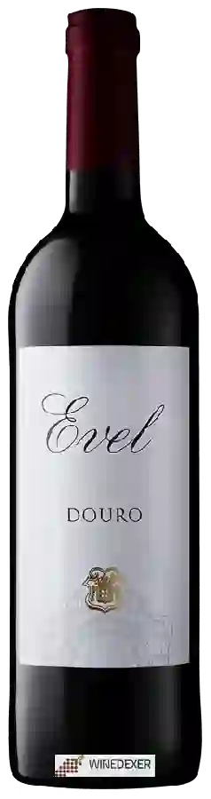 Weingut Evel - Douro Tinto Weingut Evel - Douro Tinto