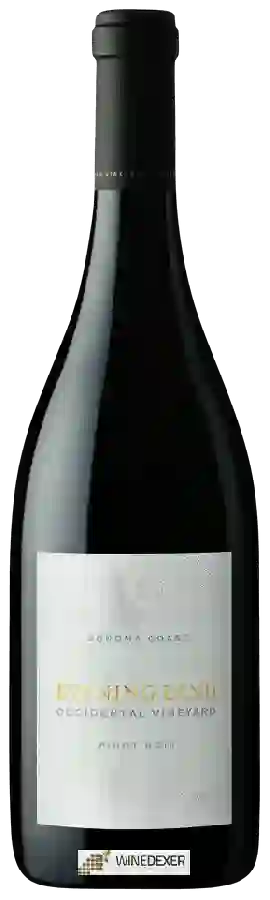 Weingut Evening Land - Occidental Vineyard Pinot Noir Weingut Evening Land - Occidental Vineyard Pinot Noir