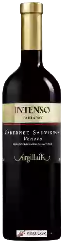 Weingut Fabiano - Cabernet Sauvignon Veneto Argillaia Intenso
