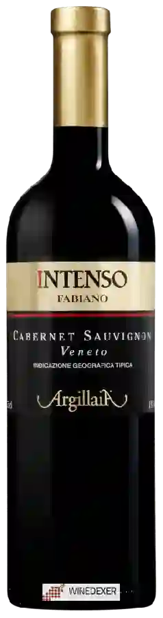 Weingut Fabiano - Cabernet Sauvignon Veneto Argillaia Intenso