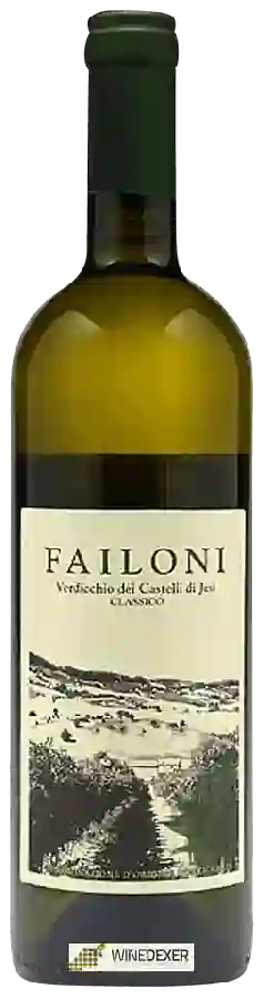 Weingut Failoni - Verdicchio dei Castelli di Jesi Classico Weingut Failoni - Verdicchio dei Castelli di Jesi Classico