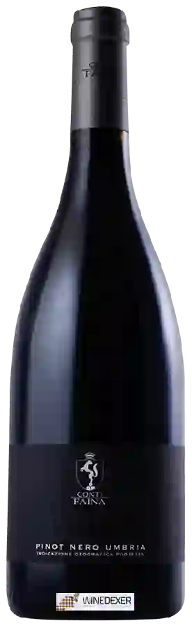 Weingut Conti Faina - 1883 Pinot Nero Umbria