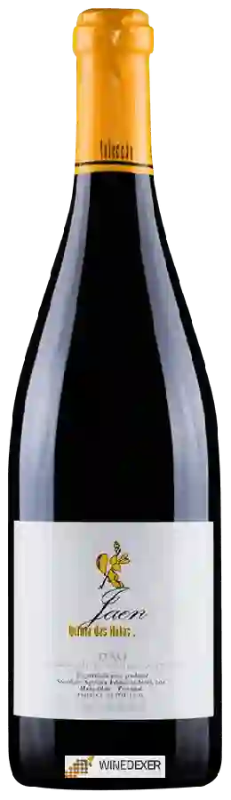 Weingut Faldas da Serra - Quinta das Maias Jaen Weingut Faldas da Serra - Quinta das Maias Jaen