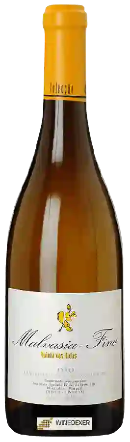 Weingut Faldas da Serra - Quinta das Maias Malvasia - Fina