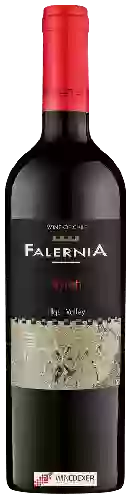Weingut Falernia - Syrah