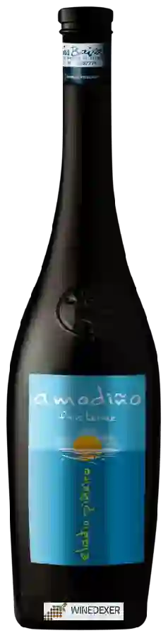 Weingut Adega Familiar Eladio Piñeiro - Amodiño