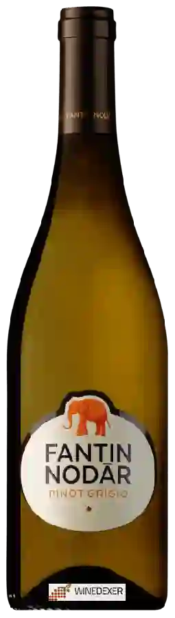 Weingut Fantin Nodar - Pinot Grigio